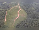 Junho: mês do meio ambiente; saiba mais sobre os crimes ambientais