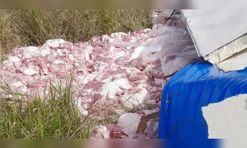 Caminhão com carne suína tomba e dupla é detida por tentativa de saque