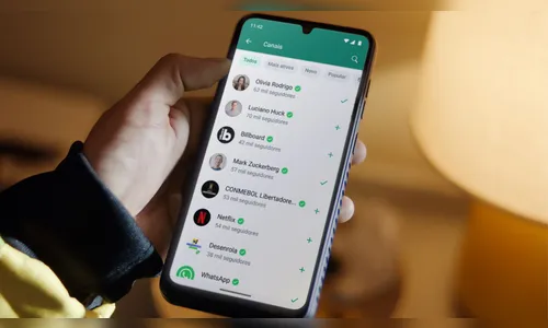 WhatsApp: brasileiros são os que mais enviam áudios e figurinhas