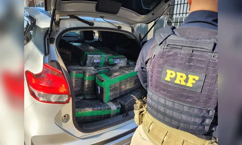 PRF apreende quase meia tonelada de maconha em Astorga
