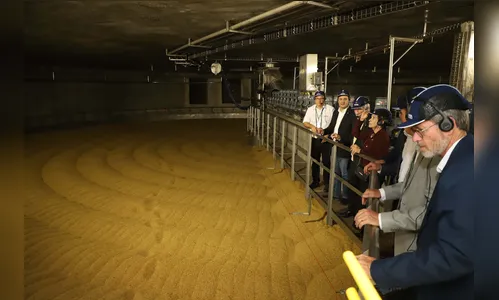 Quatro em cada dez cervejas brasileiras terão malte produzido no PR