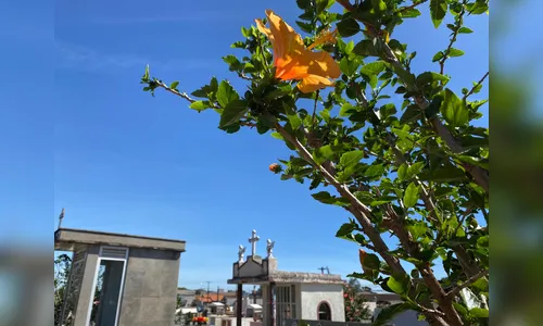 Confira os falecimentos deste sábado (1º) em Apucarana e região