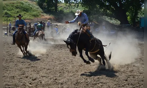 Peão é arremessado e pisoteado por touro durante rodeio