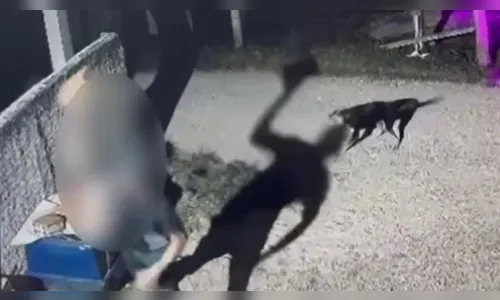 Homem é flagrado jogando tijolos em cachorros; ele foi indiciado