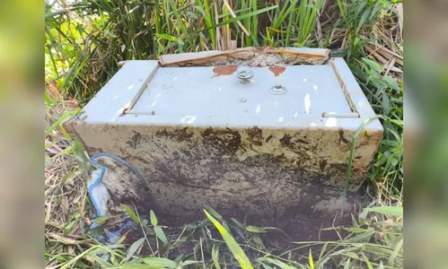 Cofre é encontrado em matagal e mobiliza equipes da PM no Paraná