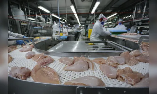 Paraná lidera com recorde produção de frango, segundo IBGE