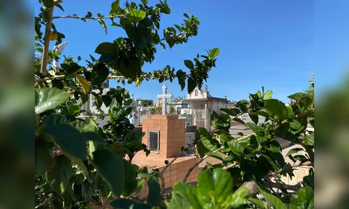 Confira os falecimentos que acontecem nesta quinta (28) em Apucarana