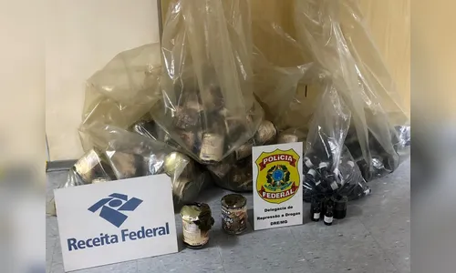 PF e Receita apreendem 152 quilos de haxixe em aeroporto
