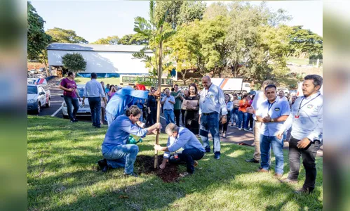 Árvores nativas e frutíferas são plantadas em escolas de Apucarana