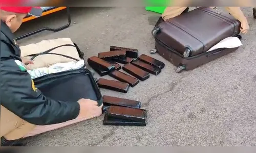 Polícia apreende 30 quilos de maconha em ônibus de turismo; vídeo