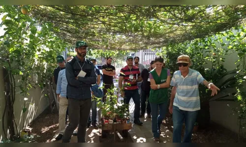 Prefeitura de Apucarana conclui curso de cultivo de maracujá