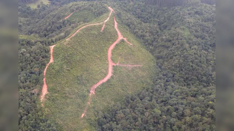 Imagem ilustrativa da notícia Junho: mês do meio ambiente; saiba mais sobre os crimes ambientais