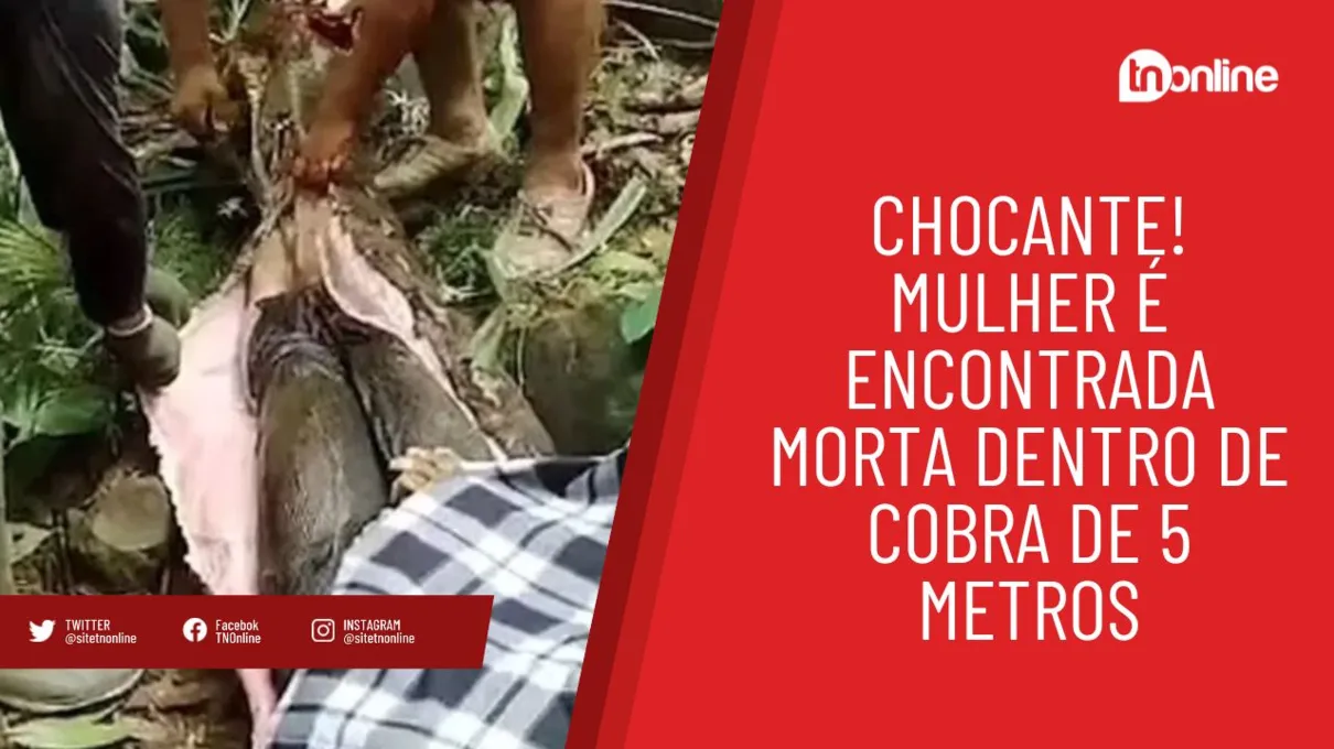 Chocante! Mulher é encontrada dentro de cobra de 5 metros