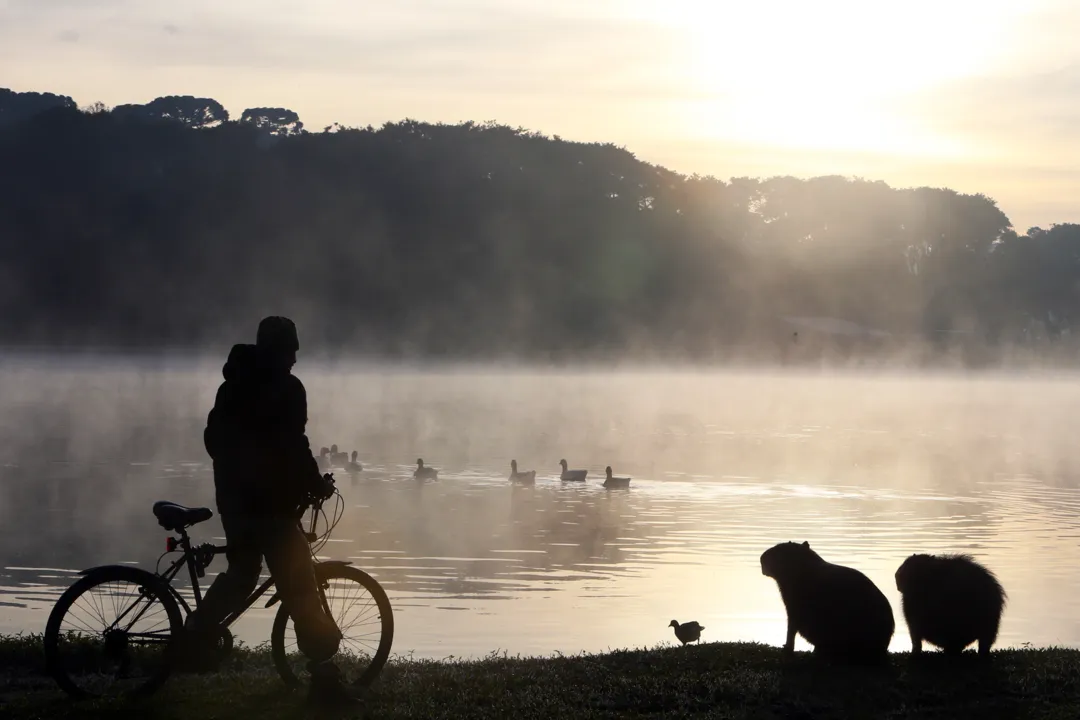 Consequência do tempo frio são as geadas