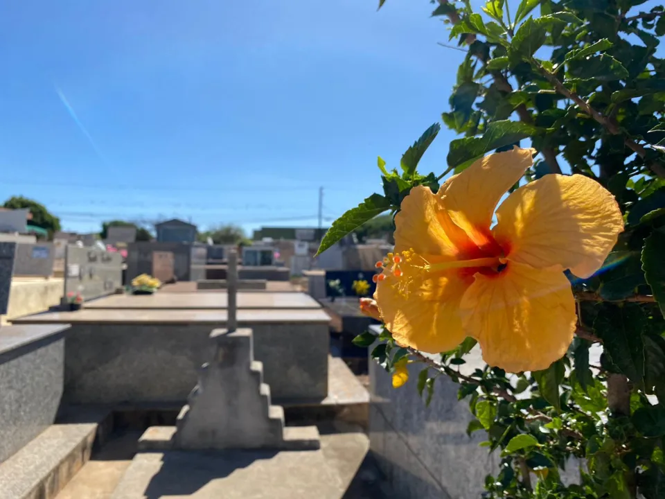 Velórios acontecem em diversas capelas mortuárias