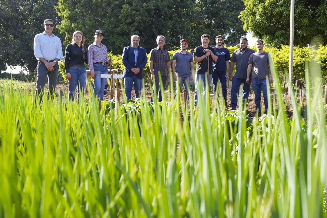 Sustentabilidade e segurança alimentar caminham lado a lado