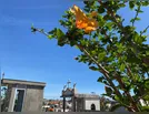 Confira a lista atualizada dos falecimentos desta sexta-feira (6)