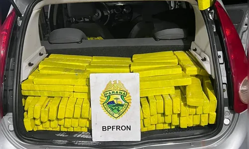 Batalhão de Fronteira da PMPR apreende 503 kg de maconha