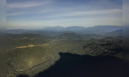 BRDE e Fundação Grupo Boticário firmam parceria sustentável