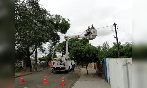 Copel promove mutirão de manutenção preventiva nas redes elétricas