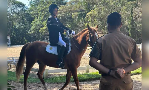 Cavalos colaboram para a qualidade de vida de pessoas com deficiência