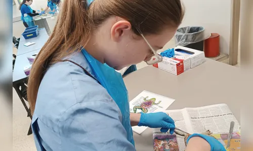 Alunos do Ganhando o Mundo começam a retornar cheios de aprendizado