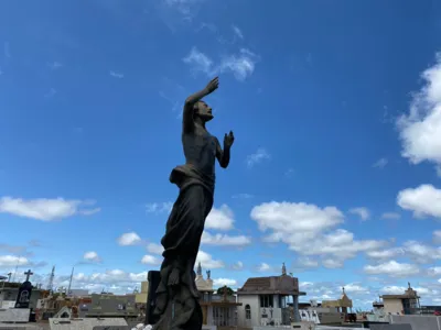 Informações: Serviço Funerário Municipal de Curitiba