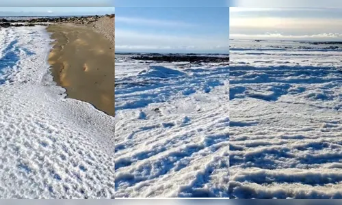 Vídeo: mar congelado na Argentina impressiona após mínimas de -17°C