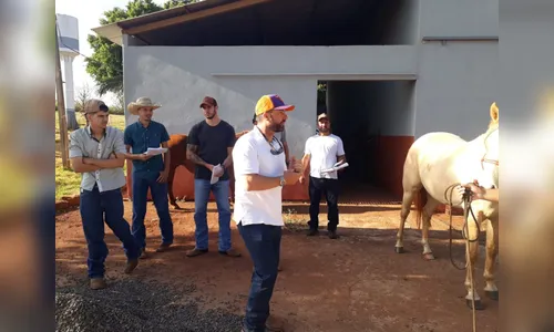 Apucarana capacita criadores no casqueamento de equinos