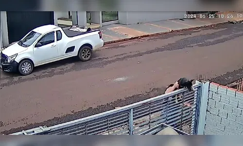Idoso é flagrado arremessando cachorro para dentro de casa; veja
