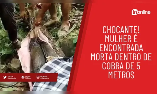 Chocante! Mulher é encontrada dentro de cobra de 5 metros