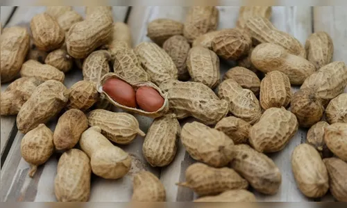 Típico das festas juninas, amendoim tem maior área plantada no Paraná