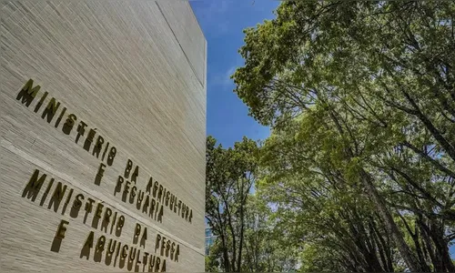 Ministério da Pesca abre concurso público com salário de R$ 6,1 mil