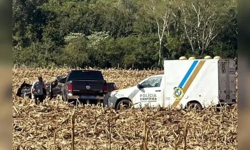 Motorista morre após capotar veículo com meia tonelada de maconha