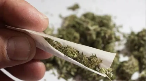 Lei não pune porte de maconha com pena de prisão