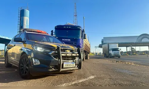 Mais de uma tonelada de maconha é apreendida pela PRF em Arapongas