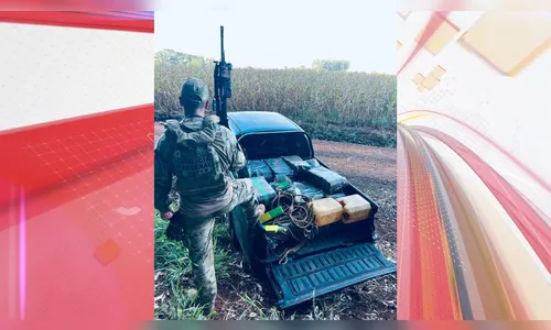 Meia tonelada de maconha é apreendida em porto clandestino no PR