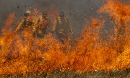 Ministério planeja ações para se antecipar às consequências do incêndio