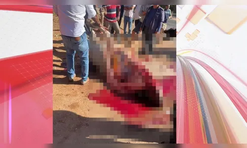Moradores disputam carne de boi atropelado no meio de rodovia