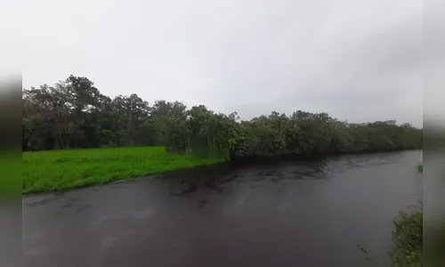 Sustentabilidade: Paraná ganha a 73ª Unidade de Conservação