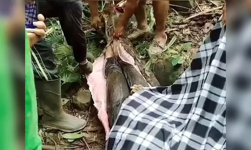 Chocante! Mulher é encontrada morta dentro de cobra de 5 metros; vídeo