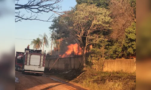 Polícia estima que incêndio em pátio de Londrina destruiu mil veículos