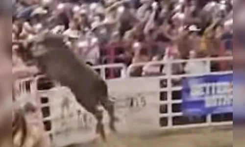 Vídeo: touro foge de rodeio, invade arquibancada e deixa feridos