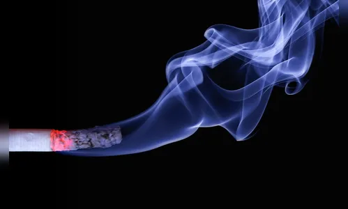 Projeto de lei prevê volta de 