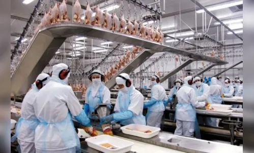 Indústria de alimentos é a que mais emprega no Brasil, diz IBGE