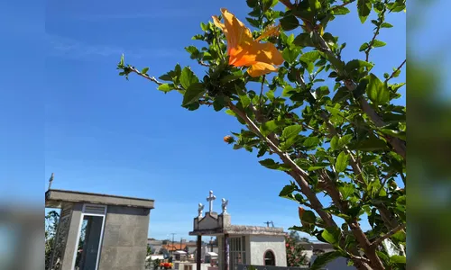 Confira a lista atualizada dos falecimentos desta sexta-feira (6)