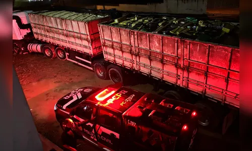 Paraná: apreensões de cocaína crescem 129% no 1º semestre
