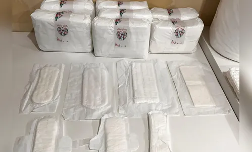 Fábrica instalada em cadeia do PR vai produzir absorventes; entenda