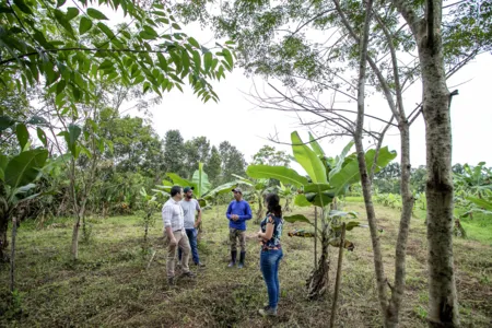 Portos do Paraná recuperou 400 mil metros quadrados de área florestal