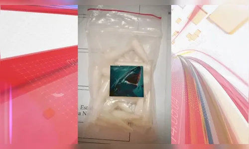 Quais são os grupos criminosos da 